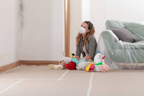 Reliable Mold Remediation contractor in Maple Valley, WA by WQB Mold Removal
